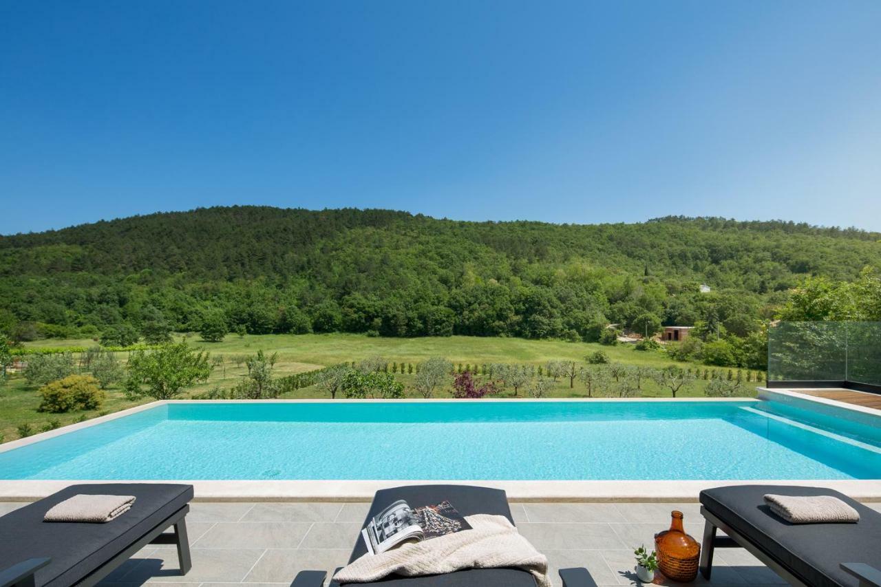 Villa Terra Labin  Exteriér fotografie